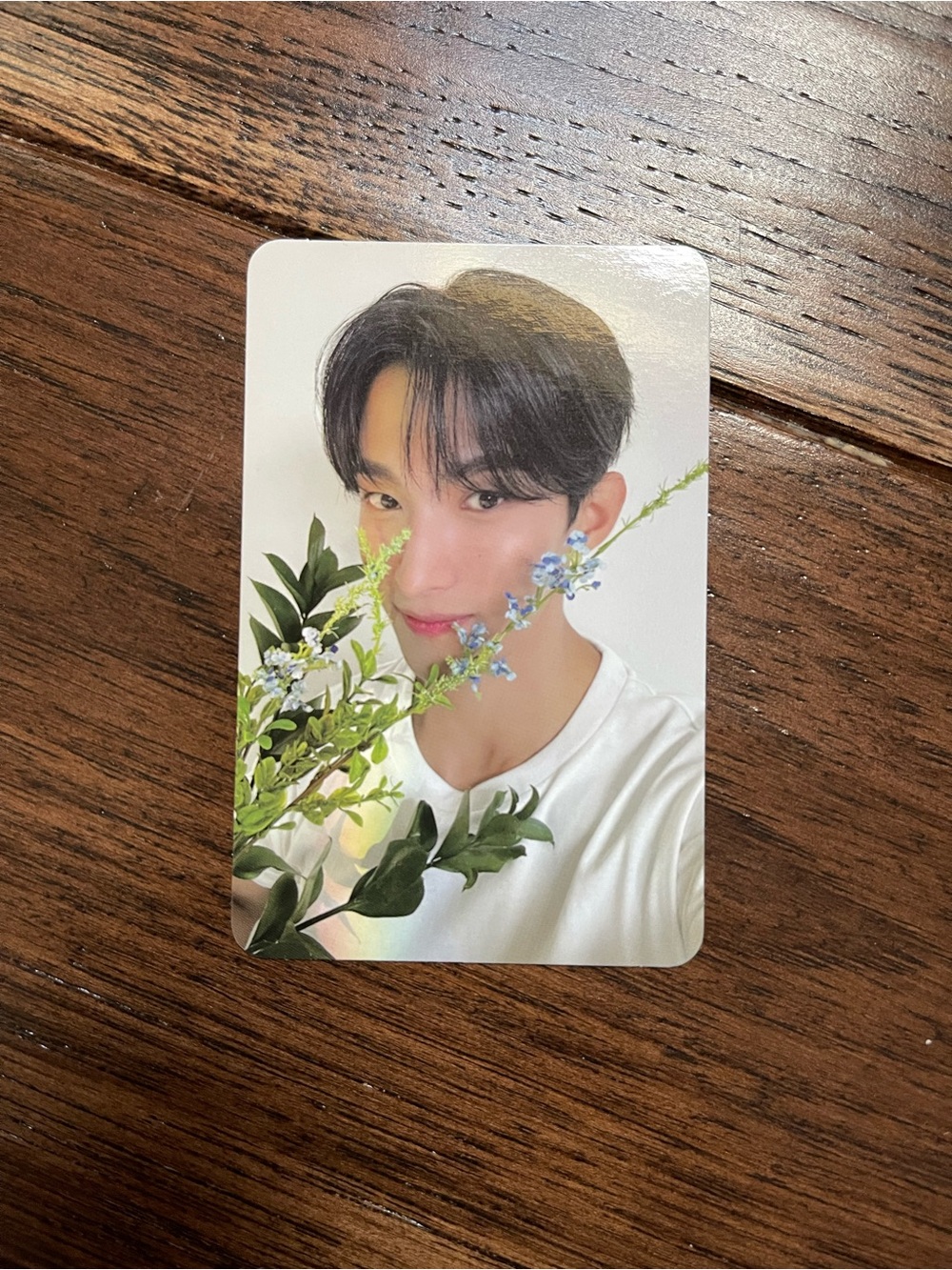 SEVENTEEN - Dokyeom (DK) Official Photocard